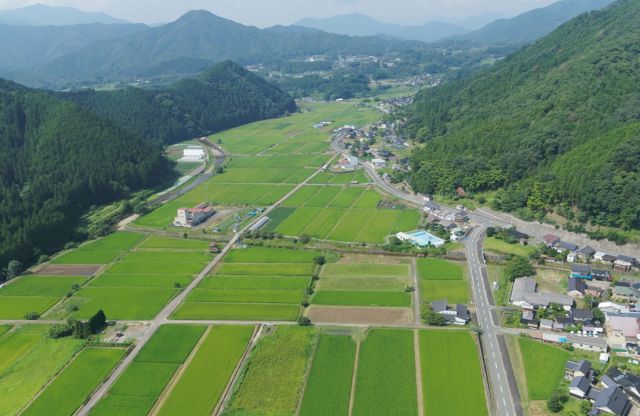 The woodlands of Yakuno-cho