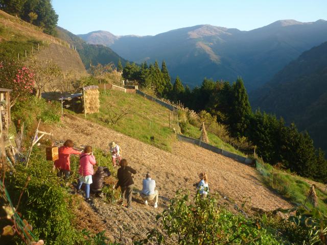 Ochiai Village (sloping terrain rice fields)