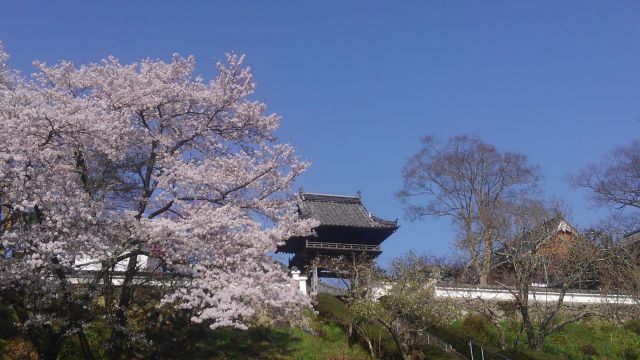 山門　ここから見る景色が秀逸です