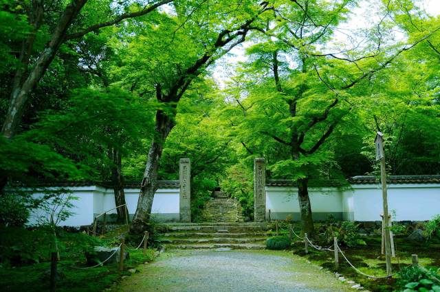 Non-public temple entrance for experience site