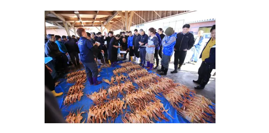You can only see it here! Visit to Echizen crab auction