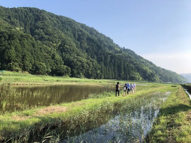 ハチゴロウの戸島湿地を散策