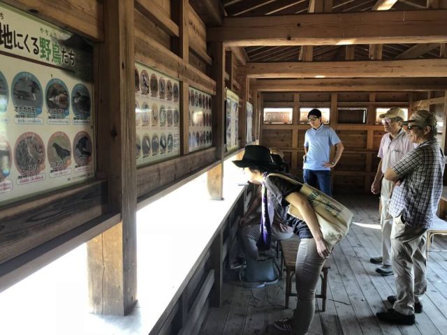 Observation building at Hachigoro's Tojima Wetland