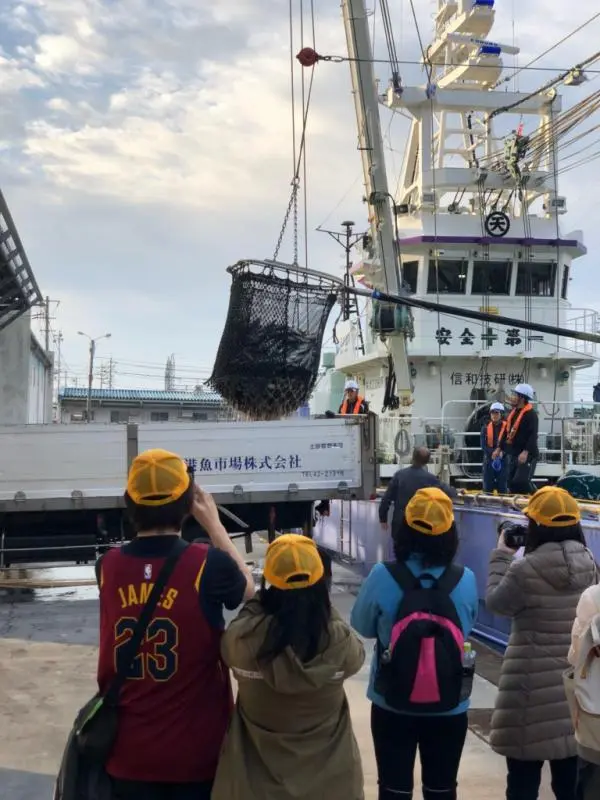 Sakaiminato Fishing Port Tour