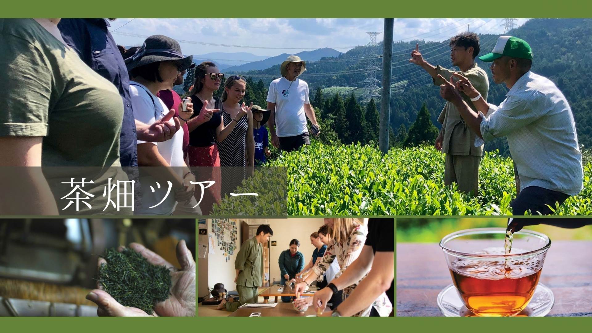 京都おぶぶ茶苑　茶畑ツアー