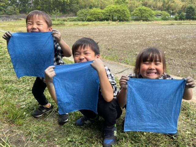 京藍染め体験の様子