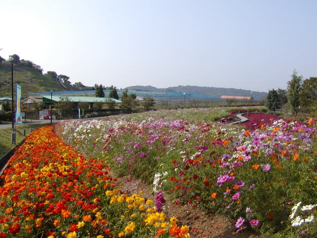 富田林市農業公園サバーファーム