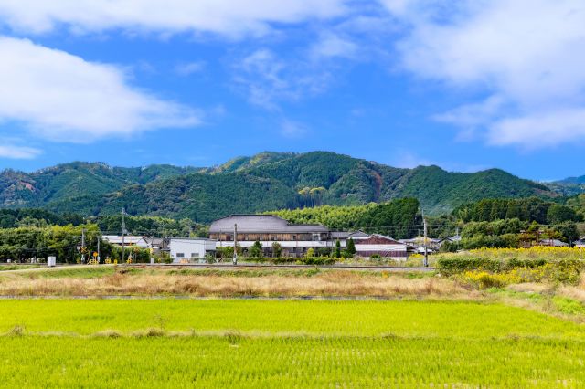 Sake Brewery Tour