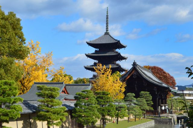 TO-JI TEMPLE MORNING WALK