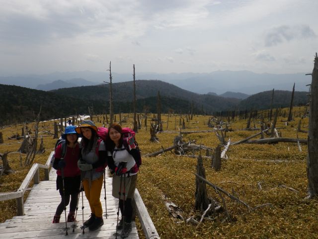 Ohdaigahara Trekking
Evergreen