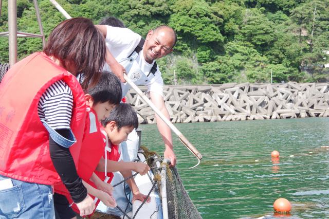 Fishing experience
Catch fish in a stationary net