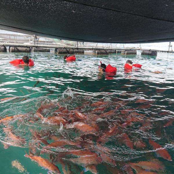 友栄水産　まるきんまる　漁師体験