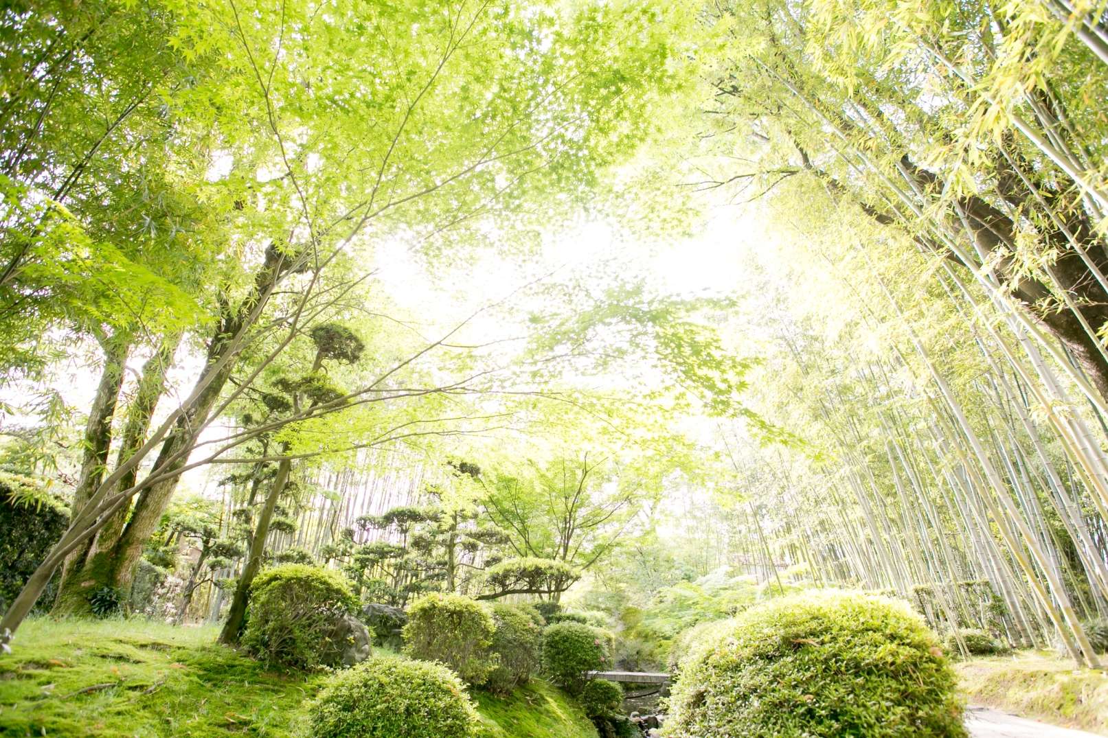 Viewing seasonal Japanese gardens and exhibitions