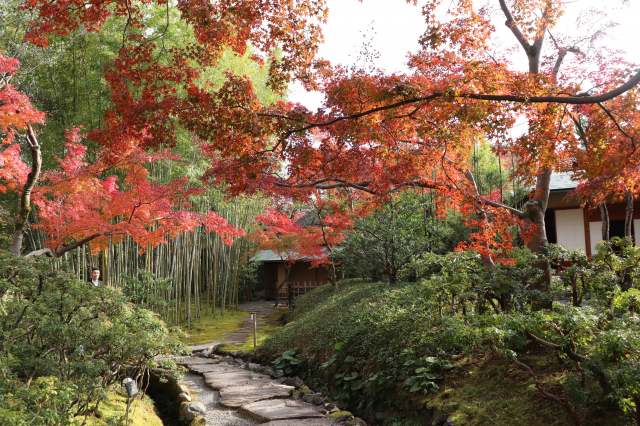 松花堂庭園：秋