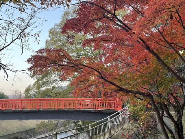 The Tatsuta River is said to be the origin of the name of the tatsuta-age dish