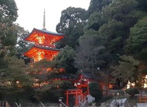 The temple premises lit up