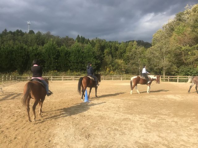 Horseback riding through the forest of Kyoto Horse trekking with lessons