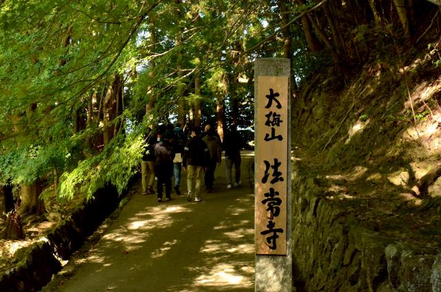 瑞々しい苔やシダ植物に囲まれた、静寂で美しい法常寺。