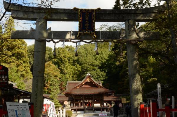 Deep tour for learning the wisdom of coexistence with nature that has continued for more than 2,000 years in Kameoka, Kyoto