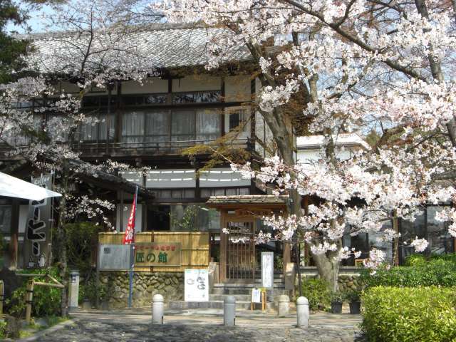 Chakabuki（tea tasting）,　Japanese green tea experience