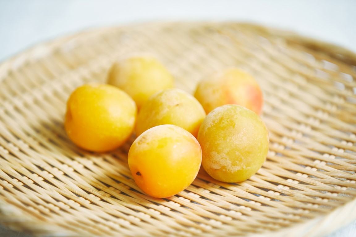 Try some nanko-ume plums grown in Wakayama Prefecture! Experience a plum liqueur pickling activity