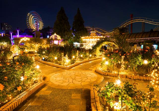 (Fall and winter only) Stroll along the illumination area