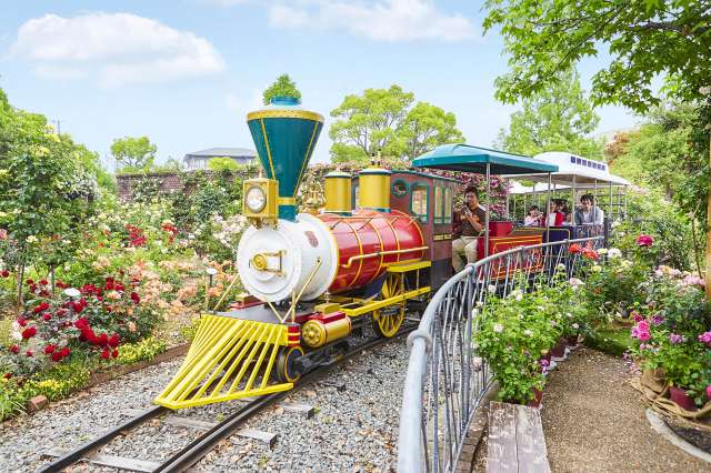 There are roughly 40 kinds of attractions. Children love this train circulating the park.