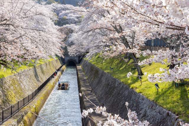 Spring-time Lake Biwa Canal nearby Ichie Wado
(c)ichiewado