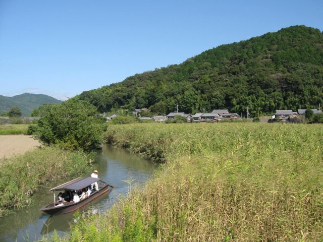 ヨシ原の迷路を手漕ぎ舟で行く水郷めぐり