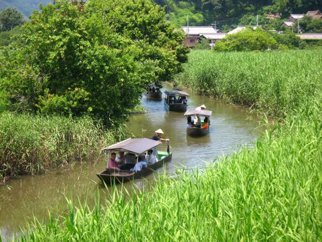 Canal tour in summer