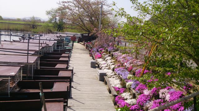 Canal tour boarding area