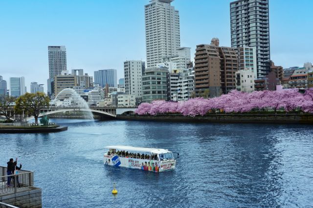 You can enjoy the city of Osaka from land and water and cruise leisurely!
2024 OSAKA DUCKTOUR