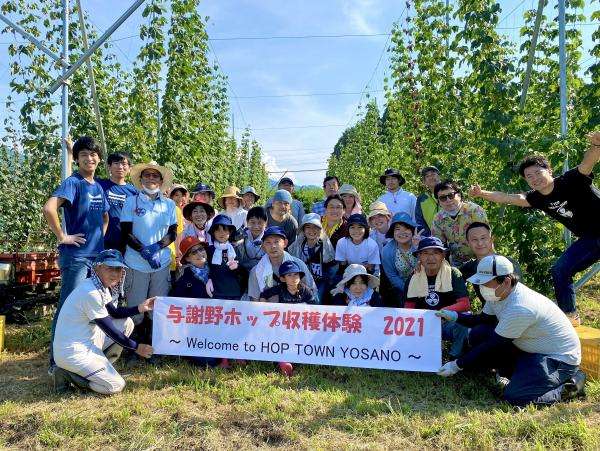 与謝野町ホップ畑