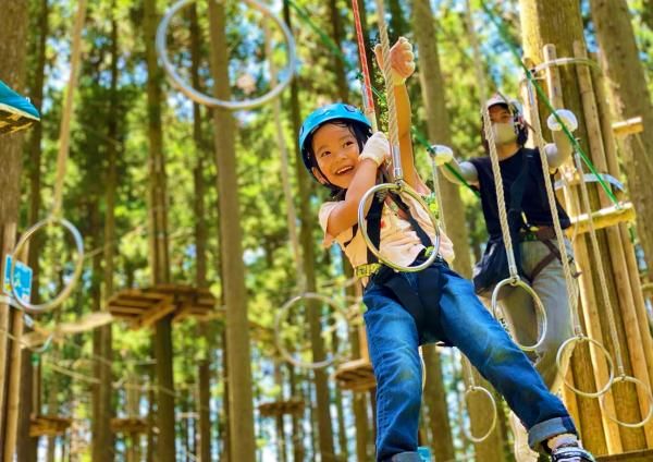 Family-friendly "Canopy Course" suitable for preschoolers