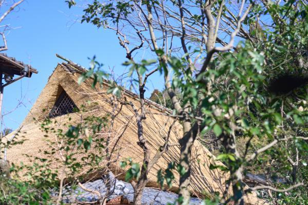 築250年といわれる茅葺屋根の母屋