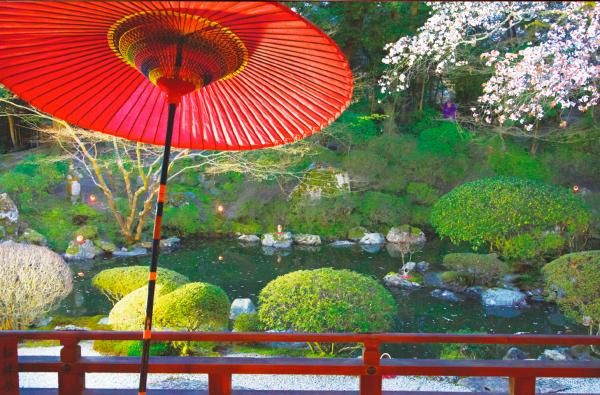 圓満院「宸殿」三井の名庭