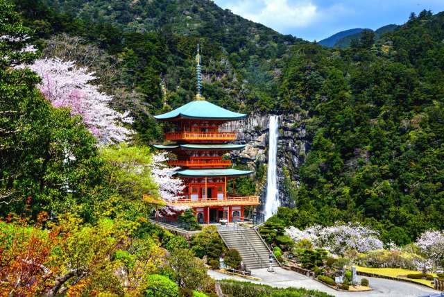 From Taiwan! Package tours traveling around Nanki Kumano Geopark