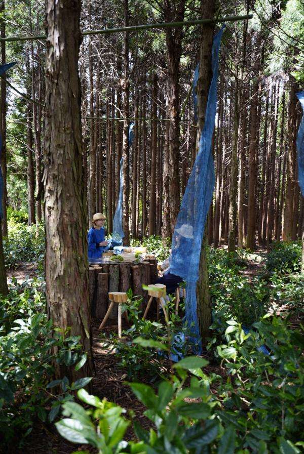 ボタニカル×ローカル　亀山市にしかない台湾原生の山茶がルーツの茶樹F4の森でお茶を味わう