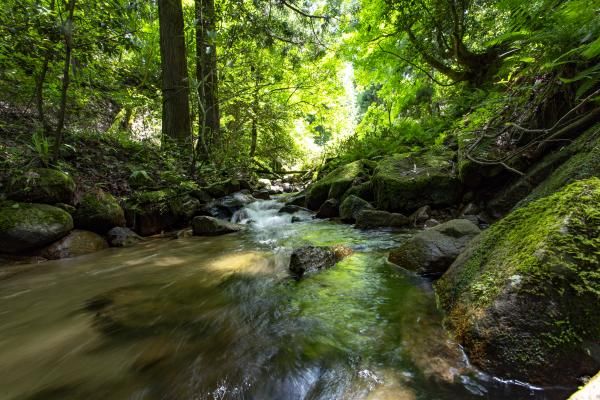 丹後地方の豊かな水が、丹後ちりめんには欠かせません