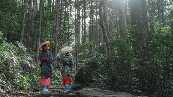 Walking the Kumano Kodo UNESCO World Heritage Site and Magose Pass as people did centuries ago