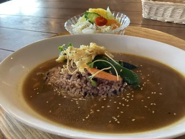 A delicious curry made with yakuzen soup at a vegan specialty cafe (example)