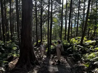 おわせプライベート岩ヨガ体験