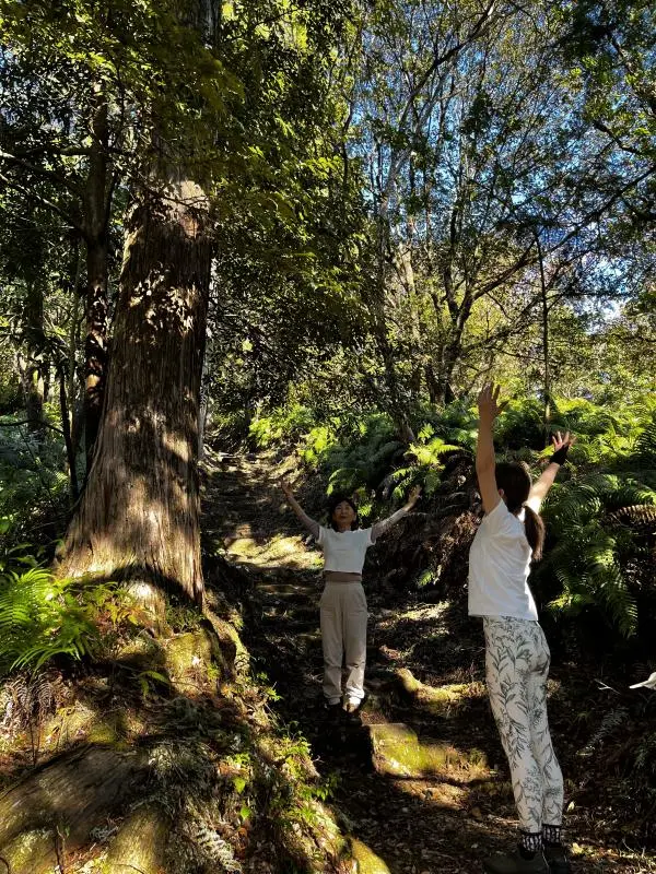 Exercise during trekking