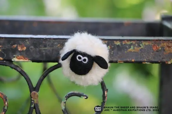 Shaun the Sheep Craft workshop
SHAUN THE SHEEP AND SHAUN'S IMAGE ARE TM AARDMAN ANIMATIONS LTD. 2024