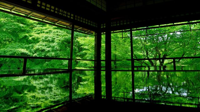 関西ならではの上質な旅を