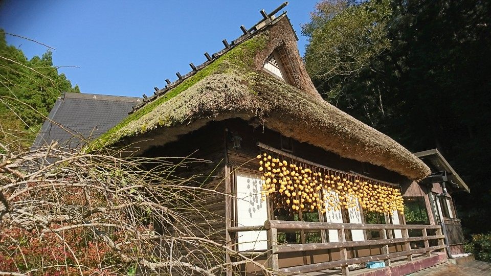 軒から干し柿が吊るされる風景も素敵。