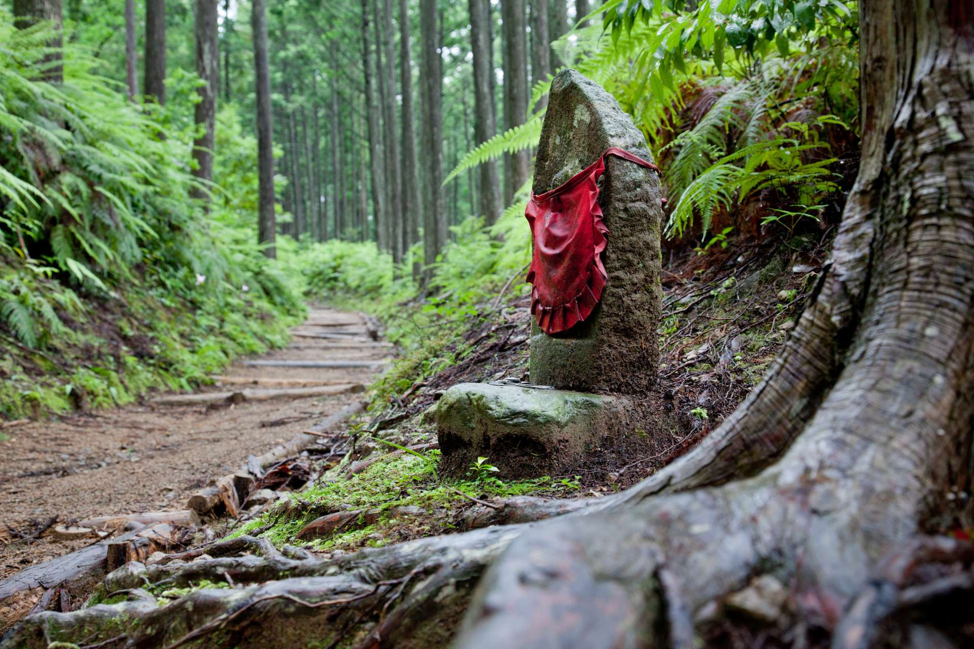 道ゆく人びとを見守り続けるお地蔵様や道標なども味わい深い。
©和歌山県観光連盟