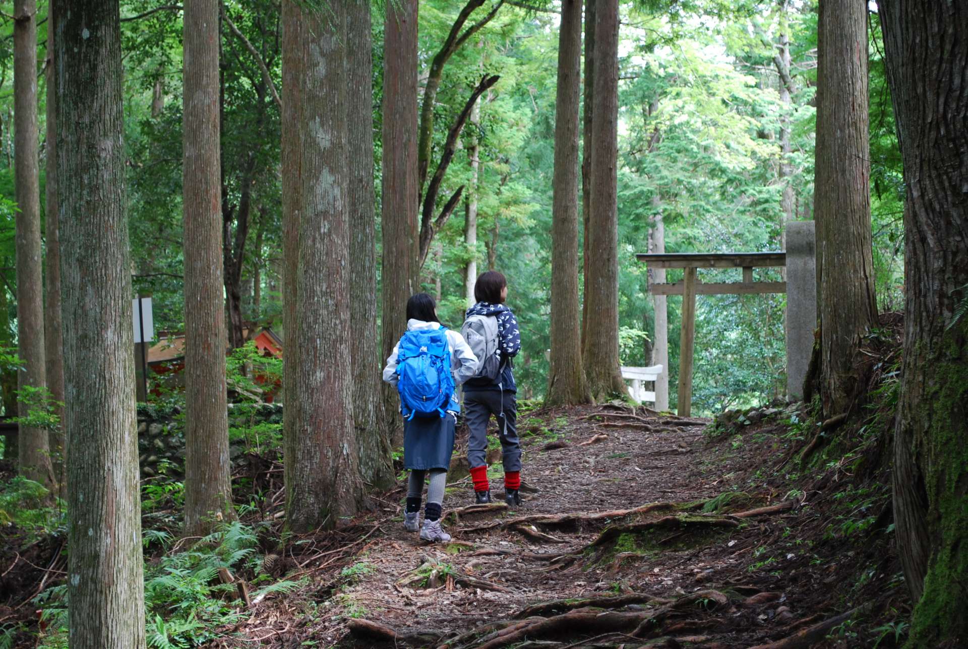 中辺路には、王子社跡など熊野古道ならではの景色がたくさん！
©和歌山県観光連盟