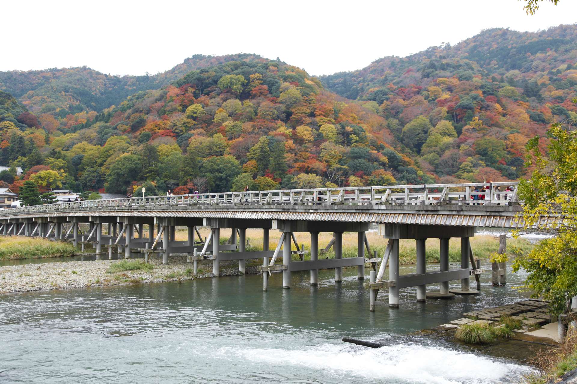 手が届きそうなほど近くに「渡月橋」が見られる贅沢な立地が自慢。