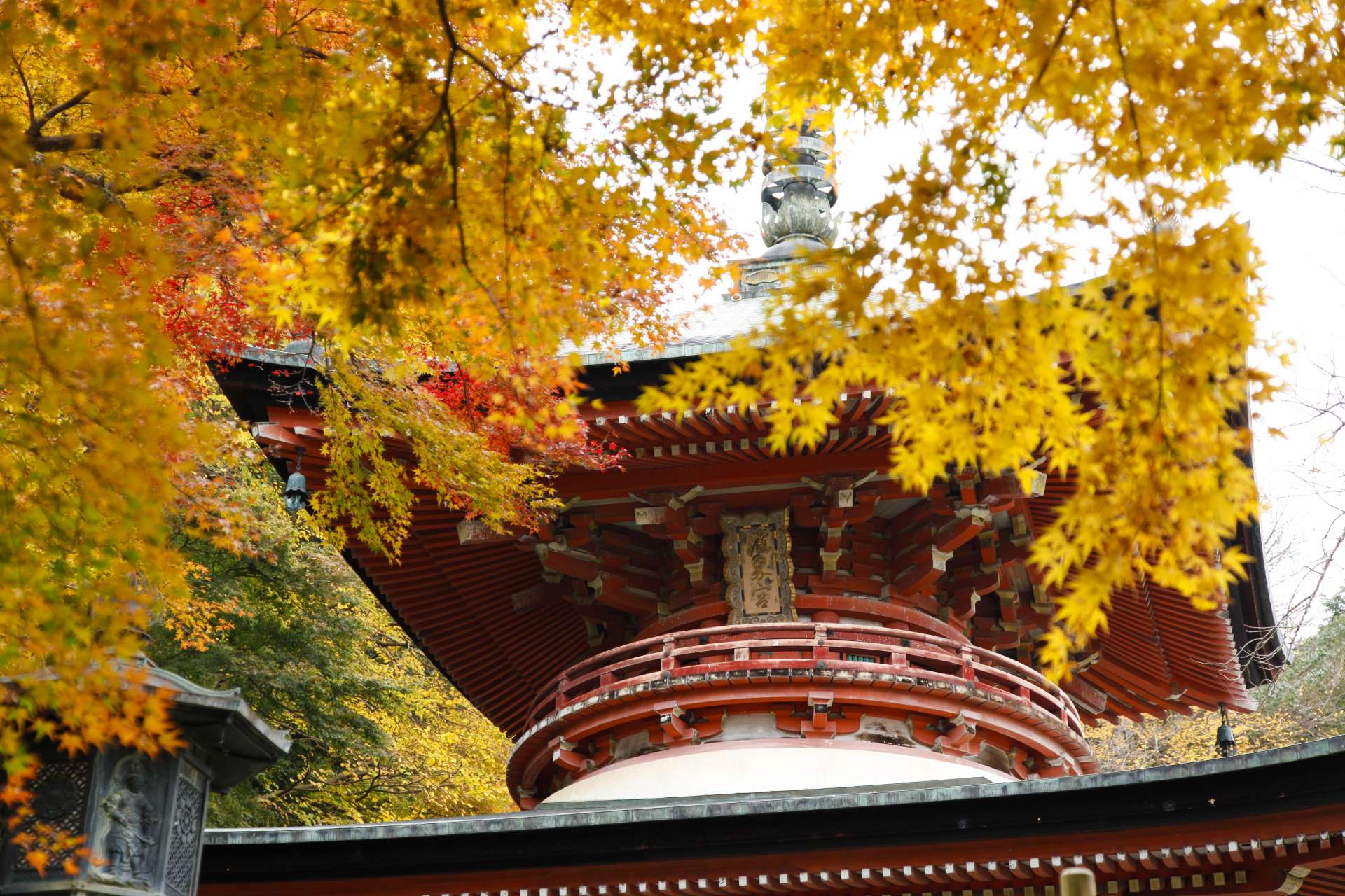 「法輪寺」など、紅葉の名スポットが徒歩圏内にそろっているのもポイント。